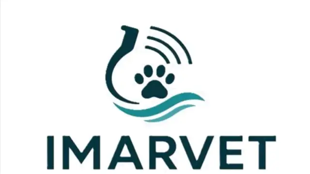 IMARVET Ecografías Veterinarias a Domicilio para Clínicas